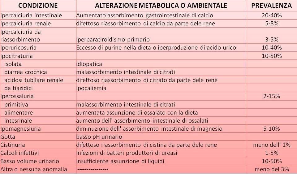 Calcoli Renali Cause